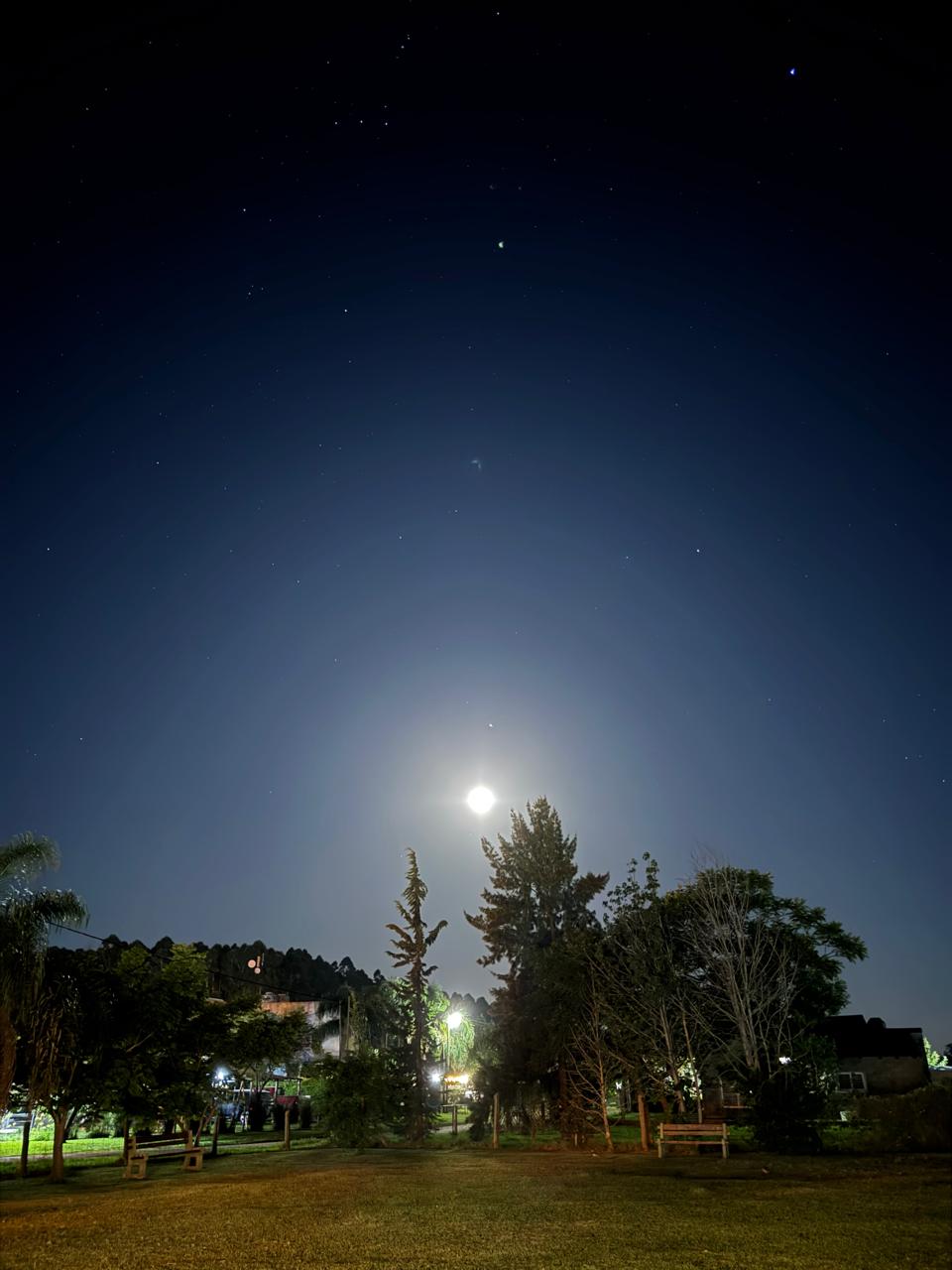 WhatsApp Image 2026-01-20 at 12.13.49