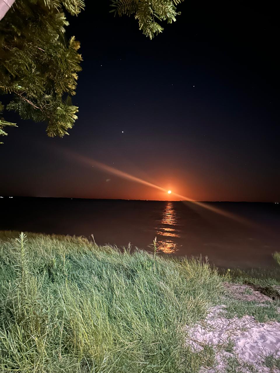 WhatsApp Image 2026-01-20 at 12.15.13