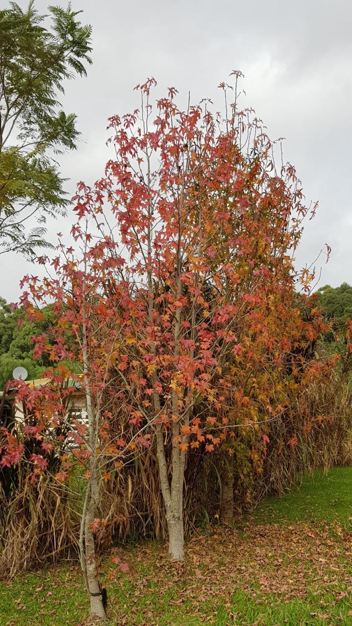 WhatsApp Image 2026-01-22 at 00.14.52